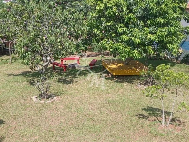 Imagem: Chácara em Louveira