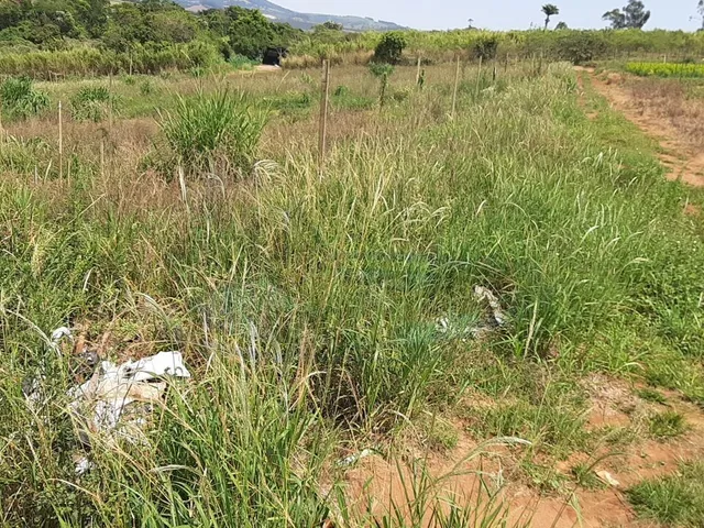 Imagem 12: Sítio À Venda no Bairro Campinho - Bragança Paulista/Sp
