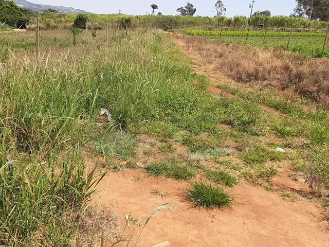 Imagem 5: Sítio À Venda no Bairro Campinho - Bragança Paulista/Sp