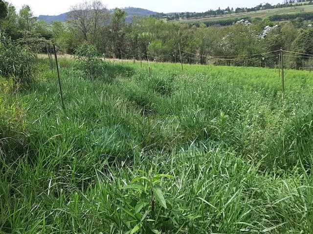 Imagem 4: Sítio À Venda no Bairro Campinho - Bragança Paulista/Sp
