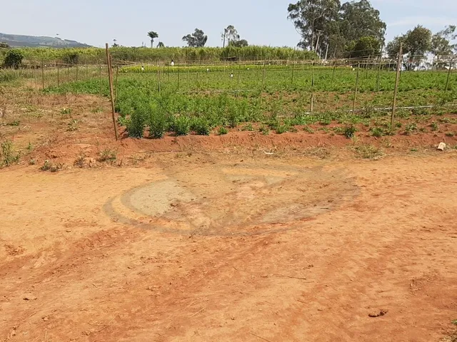 Imagem 16: Sítio À Venda no Bairro Campinho - Bragança Paulista/Sp