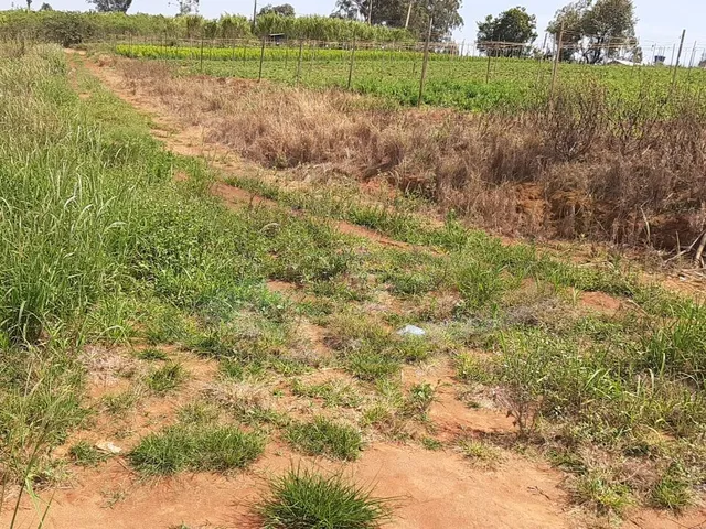 Imagem 11: Sítio À Venda no Bairro Campinho - Bragança Paulista/Sp