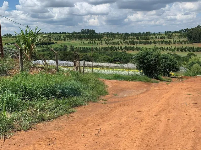 Imagem 9: Sítio À Venda no Bairro Campinho - Bragança Paulista/Sp
