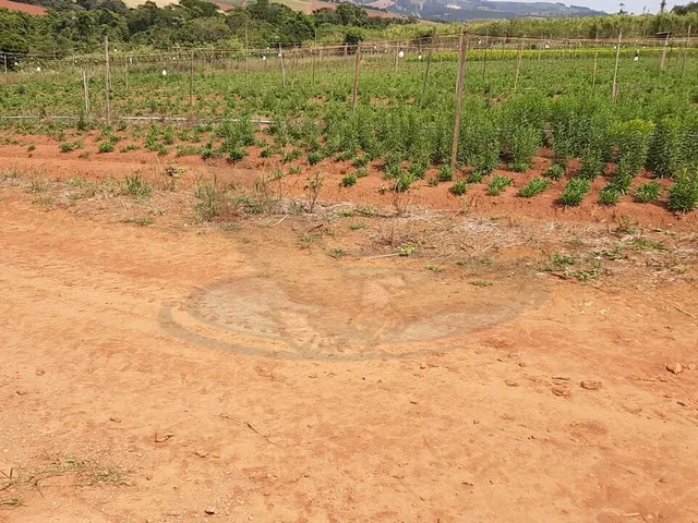 Imagem 15: Sítio À Venda no Bairro Campinho - Bragança Paulista/Sp