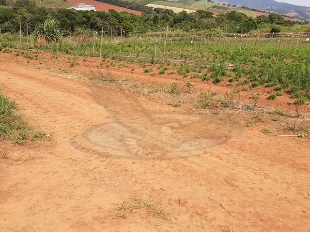 Imagem 2: Sítio À Venda no Bairro Campinho - Bragança Paulista/Sp