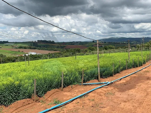 Imagem 10: Sítio À Venda no Bairro Campinho - Bragança Paulista/Sp