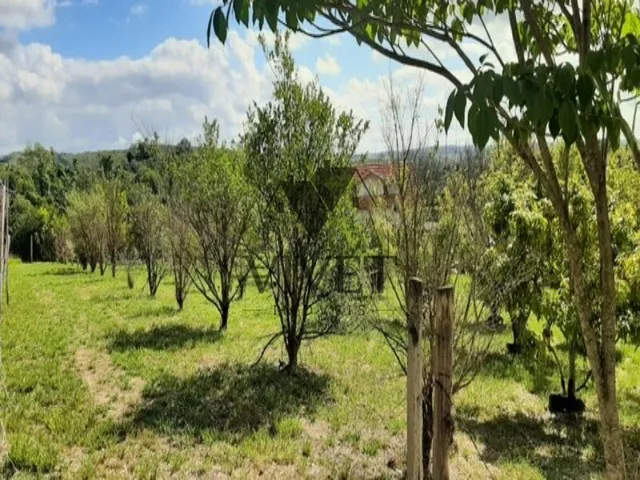 Imagem 4: Sítio para a Venda em Salto de Pirapora