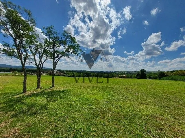 Imagem 8: .