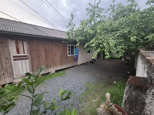Imagem 6: Terreno com Duas Casas de Madeira para Venda!