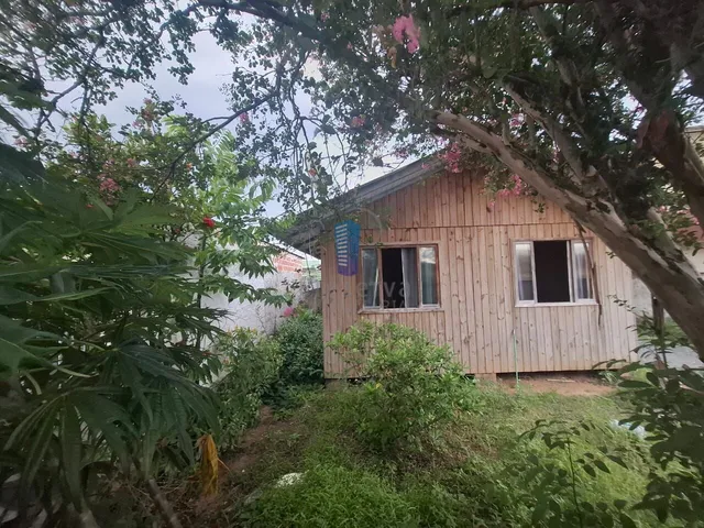 Imagem 5: Terreno com Duas Casas de Madeira para Venda!
