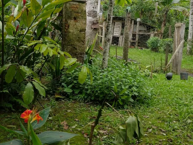 Imagem 3: Chácara para Locação em Antonina com 1.294,00 Metros Casa Toda Varandada Próximo a Ponta da Pita