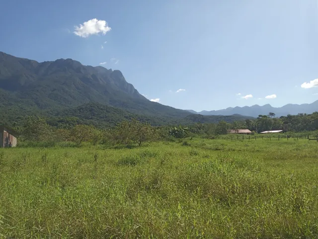 Imagem 8: Terreno À Venda no Bairro Ponte Alta - Morretes/Pr, Rural