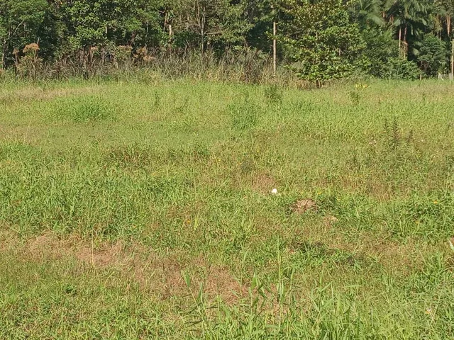 Imagem 2: Terreno À Venda no Bairro Ponte Alta - Morretes/Pr, Rural