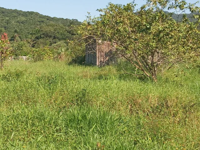 Imagem 13: Terreno À Venda no Bairro Ponte Alta - Morretes/Pr, Rural