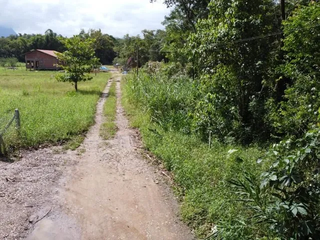 Imagem 4: Terreno À Venda no Bairro Ponte Alta - Morretes/Pr, Rural