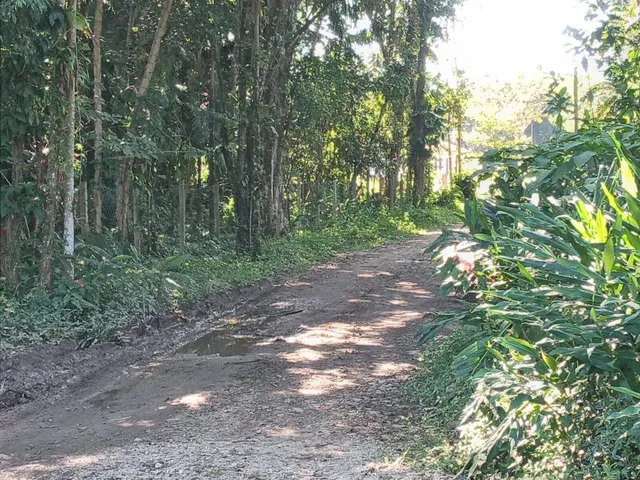 Imagem 9: Terreno À Venda no Bairro Ponte Alta - Morretes/Pr, Rural