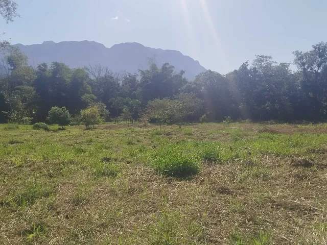 Imagem: Área à venda no bairro Cruz Alta - Morretes/PR