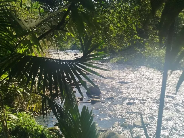 Imagem 12: Área À Venda no Bairro Cruz Alta - Morretes/Pr, Rural