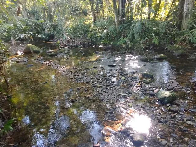 Imagem 4: Área À Venda no Bairro Cruz Alta - Morretes/Pr, Rural
