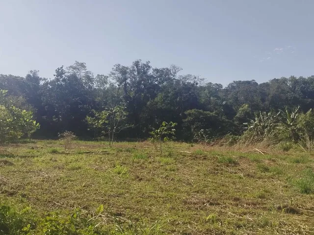 Imagem 14: Área À Venda no Bairro Cruz Alta - Morretes/Pr, Rural