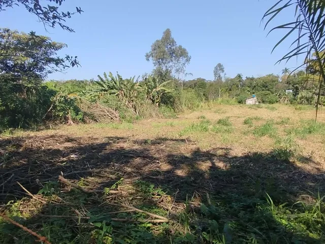 Imagem 11: Área À Venda no Bairro Cruz Alta - Morretes/Pr, Rural