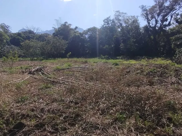 Imagem 9: Área À Venda no Bairro Cruz Alta - Morretes/Pr, Rural