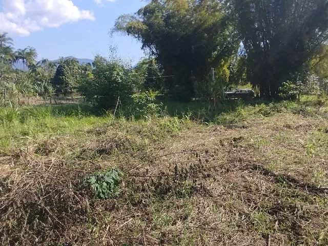 Imagem 6: Área À Venda no Bairro Cruz Alta - Morretes/Pr, Rural