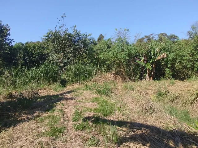 Imagem 13: Área À Venda no Bairro Cruz Alta - Morretes/Pr, Rural