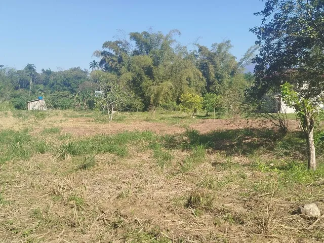 Imagem 5: Área À Venda no Bairro Cruz Alta - Morretes/Pr, Rural