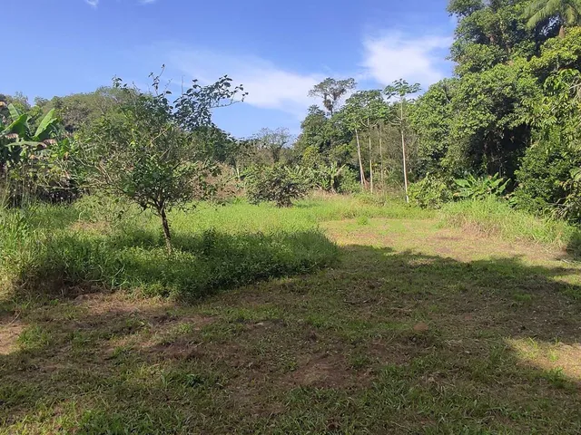 Imagem 12: Área À Venda no Bairro Vila das Palmeiras - Morretes/Pr, Urbana