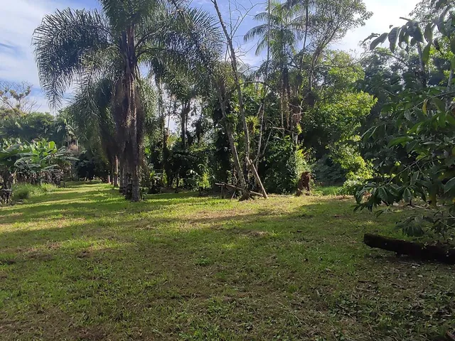 Imagem 3: Área À Venda no Bairro Vila das Palmeiras - Morretes/Pr, Urbana