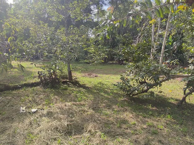 Imagem 5: Área À Venda no Bairro Vila das Palmeiras - Morretes/Pr, Urbana