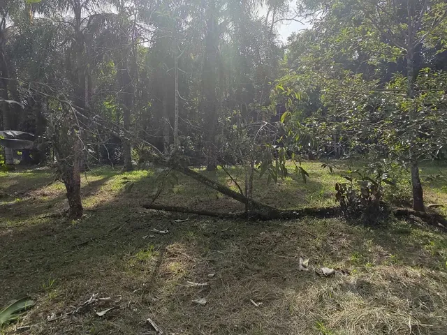 Imagem 14: Área À Venda no Bairro Vila das Palmeiras - Morretes/Pr, Urbana
