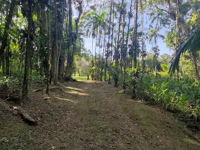 Imagem 2: Área À Venda no Bairro Vila das Palmeiras - Morretes/Pr, Urbana