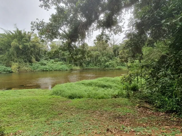Imagem: Área à venda no bairro Vila das Palmeiras