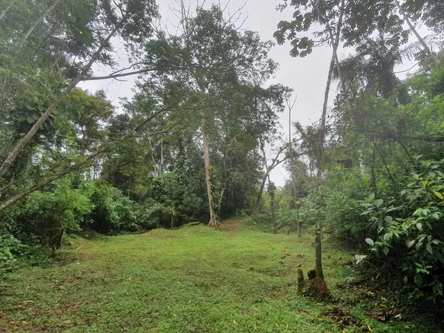 Imagem 15: Área À Venda no Bairro Vila das Palmeiras - Morretes/Pr, Urbana