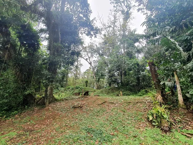 Imagem 10: Área À Venda no Bairro Vila das Palmeiras - Morretes/Pr, Urbana
