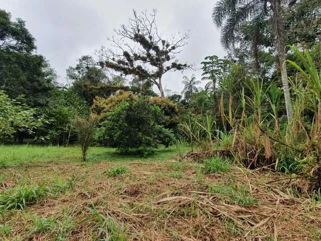Imagem 8: Área À Venda no Bairro Vila das Palmeiras - Morretes/Pr, Urbana