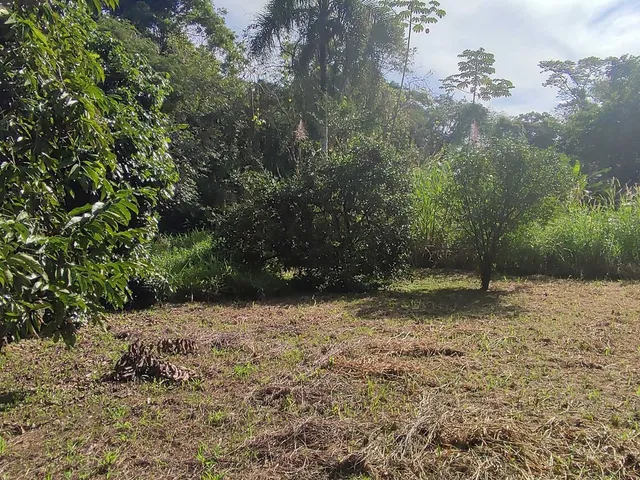 Imagem 10: Área À Venda no Bairro Vila das Palmeiras - Morretes/Pr, Urbana