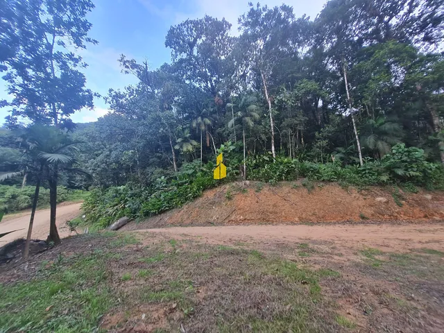 Imagem 8: Sítio com 36 Mil M² em Rio dos Cedros
