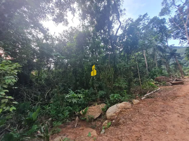 Imagem 10: Sítio com 36 Mil M² em Rio dos Cedros