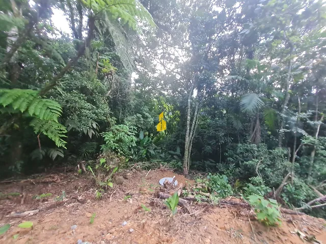 Imagem 11: Sítio com 36 Mil M² em Rio dos Cedros
