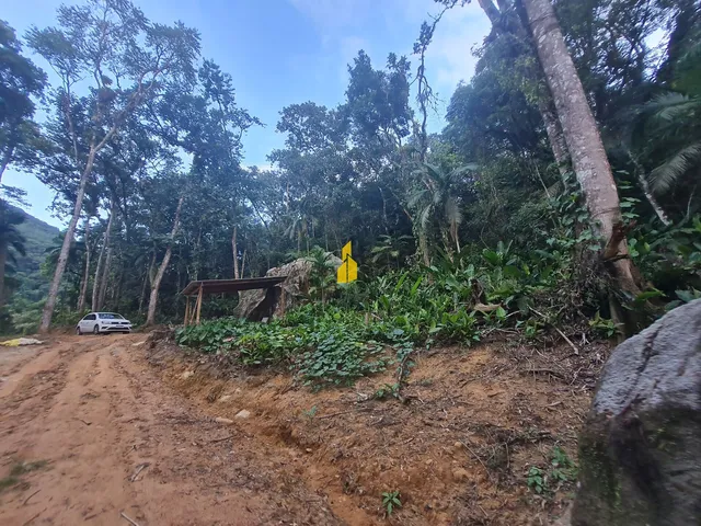 Imagem 9: Sítio com 36 Mil M² em Rio dos Cedros