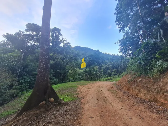 Imagem 2: Sítio com 36 Mil M² em Rio dos Cedros
