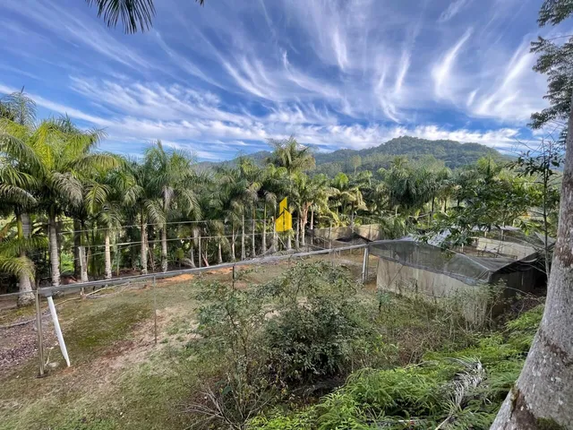 Imagem 3: Sítio À Venda em São Bernardo - Rio dos Cedros