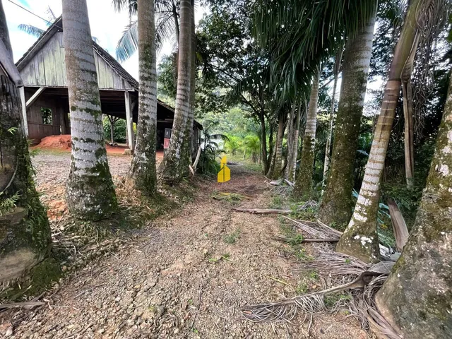 Imagem 5: Sítio À Venda em São Bernardo - Rio dos Cedros