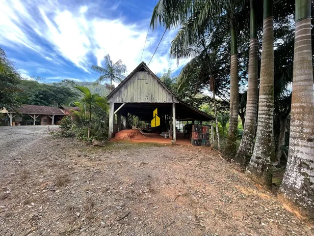 Imagem 16: Sítio À Venda em São Bernardo - Rio dos Cedros
