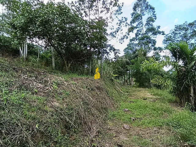 Imagem 12: Sítio À Venda em São Bernardo - Rio dos Cedros