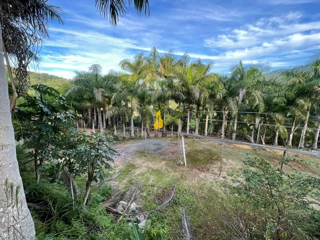 Imagem 15: Sítio À Venda em São Bernardo - Rio dos Cedros