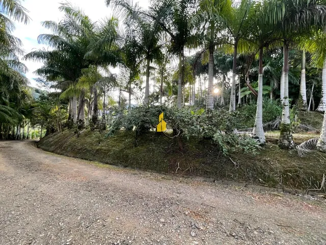 Imagem 13: Sítio À Venda em São Bernardo - Rio dos Cedros